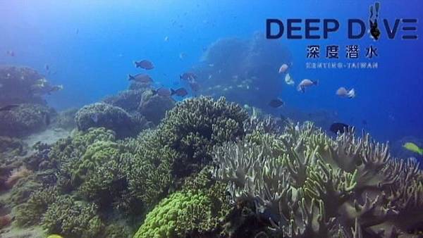 Snapshot(1).jpg Snapshot(1).jpg