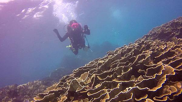 Snapshot(0).jpg Snapshot(0).jpg