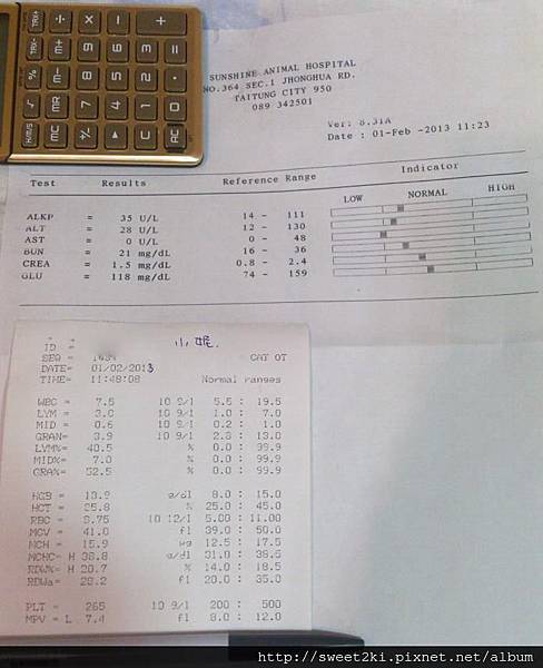 2013/02/01血檢