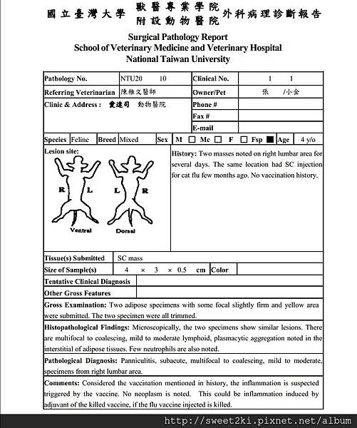 病理診斷報告1-1.jpg