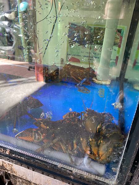 女人知己試用大隊,口碑行銷,部落客行銷,海陸雙人套餐,中壢火鍋推薦,中壢聚餐,中原火鍋推薦,中壢和牛,源自蘆洲正官,中壢火鍋,桃園火鍋,中壢鍋物推薦,中壢上官木桶鍋,上官木桶鍋