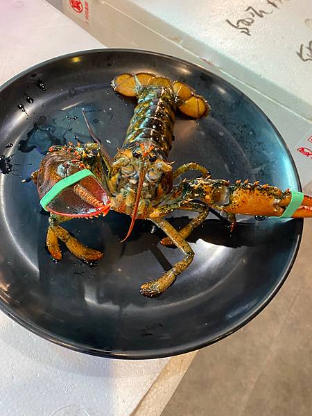 女人知己試用大隊,口碑行銷,部落客行銷,海陸雙人套餐,中壢火鍋推薦,中壢聚餐,中原火鍋推薦,中壢和牛,源自蘆洲正官,中壢火鍋,桃園火鍋,中壢鍋物推薦,中壢上官木桶鍋,上官木桶鍋