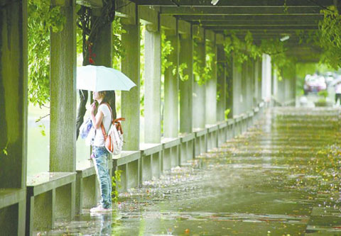 0520梅雨.jpg 0520梅雨.jpg