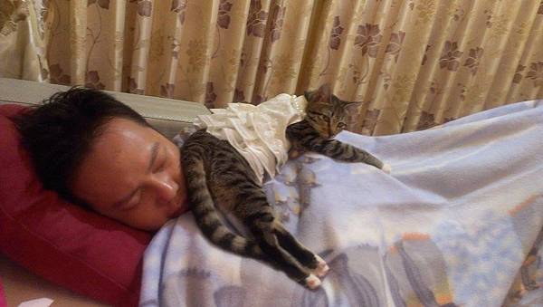 1796033_792212374123630_443679178_o