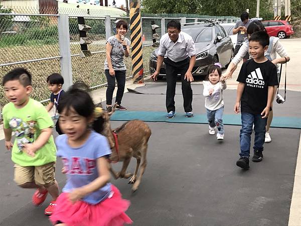 20180414 山腳鹿場&#127868;&#129420;&#127793;_180416_0043.jpg