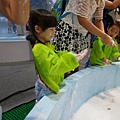 P1430433.JPG