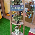 P1060051.JPG