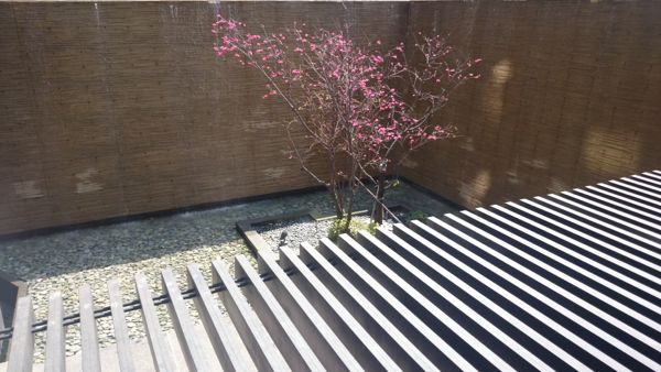 DSC_0416 DSC_0416