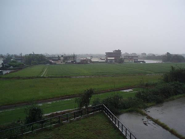 陽台外的風景