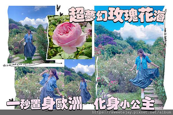 苗栗景點｜超夢幻玫瑰花海 三義免門票雅聞香草植物工廠 好