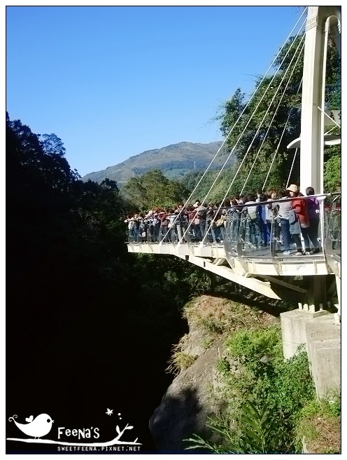 小烏來天空步道 (7)_nEO_IMG.jpg