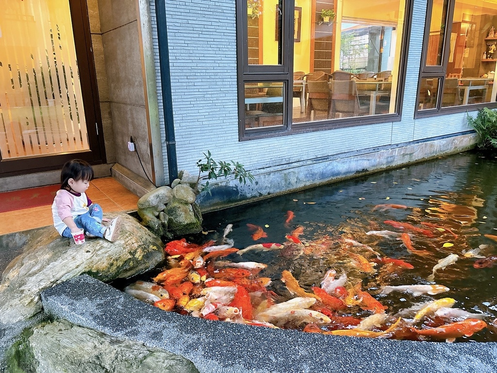 [旅遊] 花蓮吉安 金澤居民宿 ▶花蓮寵物友善 綠色隧道民宿