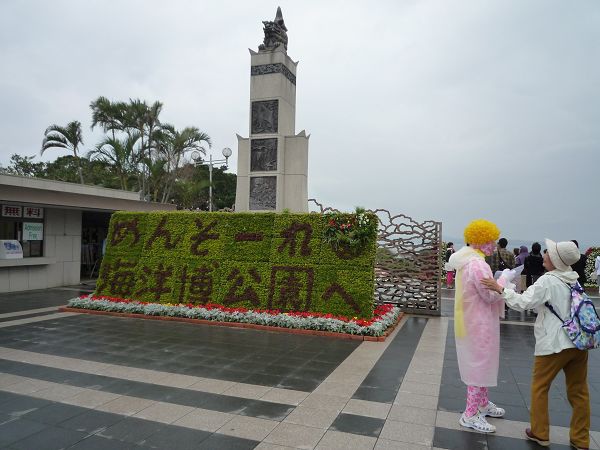 我終於可以去水族館了!