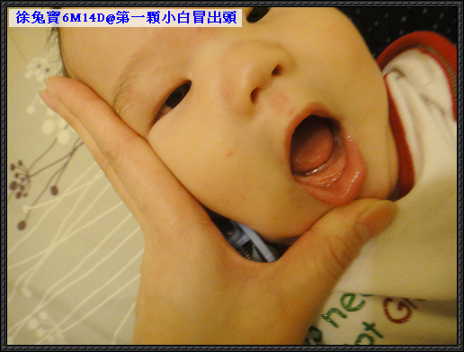 20120407 徐兔寶的第一顆小白1 20120407 徐兔寶的第一顆小白1