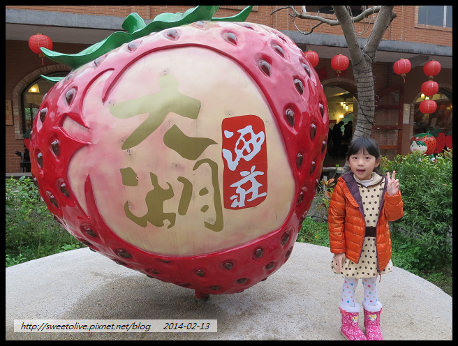 20140213 大湖採草莓 南投賞花燈-1