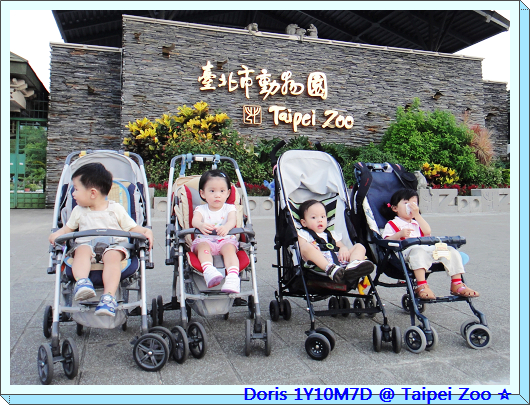 taipei zoo-11.jpg