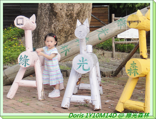 綠光森林-1.jpg 綠光森林-1.jpg