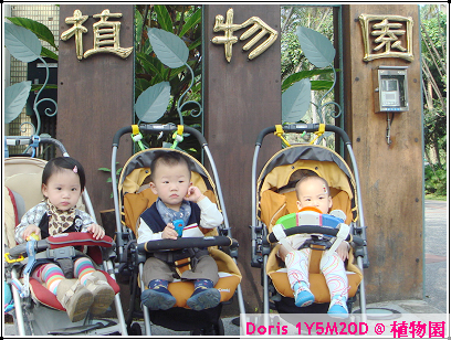 植物園-1.jpg 植物園-1.jpg