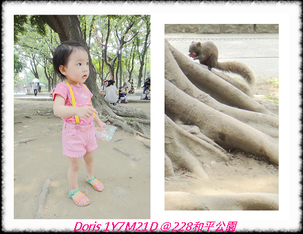 228 park -1.jpg 228 park -1.jpg
