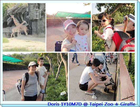 taipei zoo-8.jpg