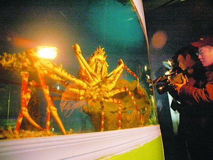 04.jpg 04.jpg