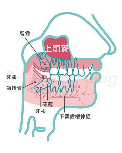 181016_全口圖_mod3-01.jpg 181016_全口圖_mod3-01.jpg
