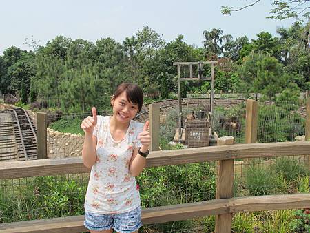 IMG_5106 IMG_5106
