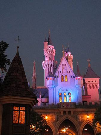 IMG_5221 IMG_5221