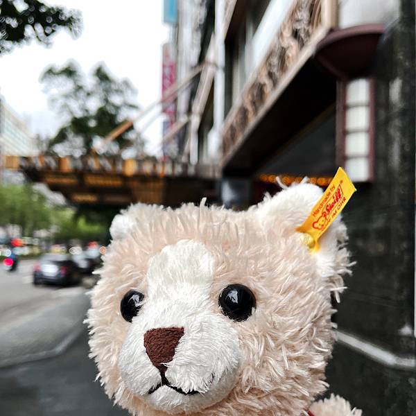 Ultralight_IMG_8129.jpg Ultralight_IMG_8129.jpg