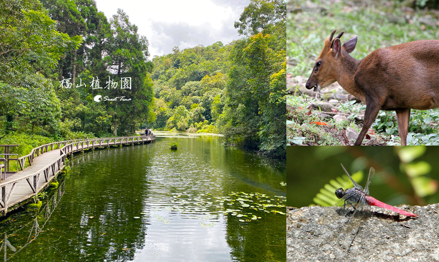 福山植物園 福山植物園