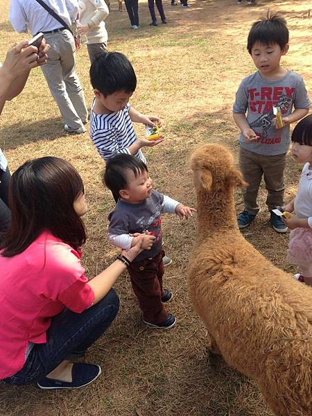 請輸入圖片標題