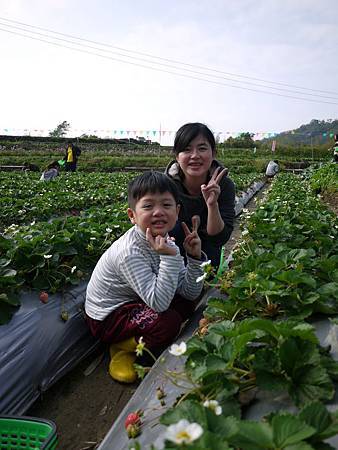 請輸入圖片標題