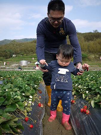 請輸入圖片標題