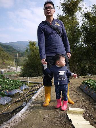 請輸入圖片標題