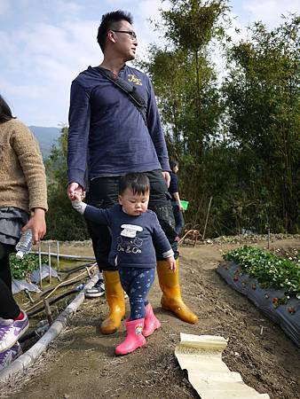 請輸入圖片標題