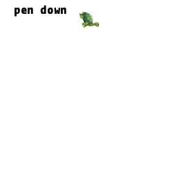 Turtle-animation.gif Turtle-animation.gif