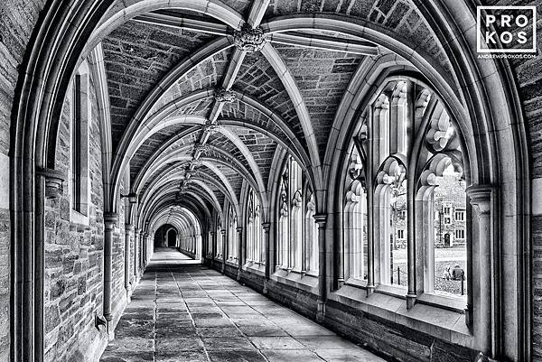 PRINCETON-ROCKEFELLER-COLLEGE-CLOISTER-11111.jpg PRINCETON-ROCKEFELLER-COLLEGE-CLOISTER-11111.jpg