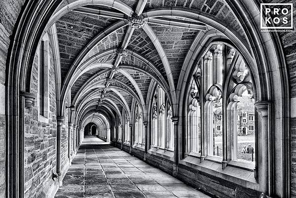 PRINCETON-ROCKEFELLER-COLLEGE-CLOISTER-11111.jpg