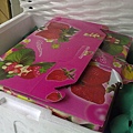 20091229324 - 複製.jpg