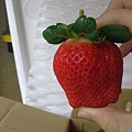 20091229327 - 複製.jpg