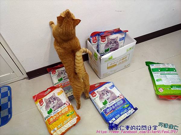 [心得/貓物] ECO艾可豆腐貓砂 