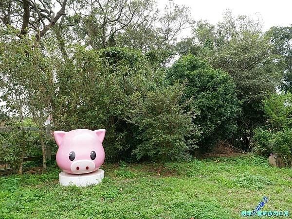 [食記] 新竹新埔 普羅旺斯小木屋餐廳。寵物景觀餐廳。