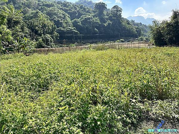 [中部活動] 台中和平 原流新創聚落【跟著Siliq去旅行 