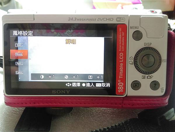 IMAG0776[1]