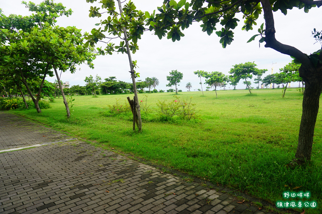 P01.jpg P01.jpg
