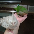DSC05372.JPG