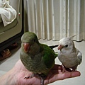 DSC05380.JPG