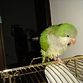 DSC05540