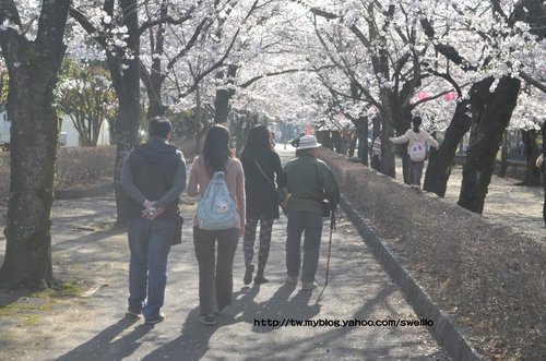 日本九州● 太鼓橋