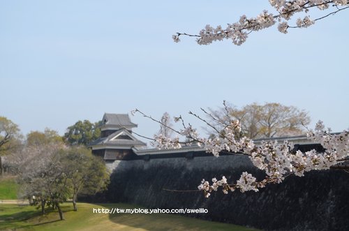 日本九州● 煙花三月上九州